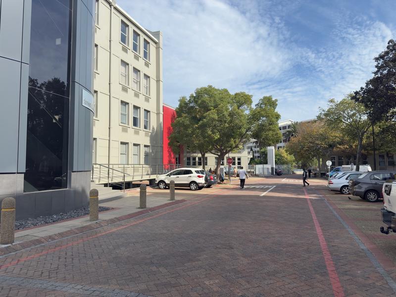 To Let commercial Property for Rent in Rondebosch Western Cape